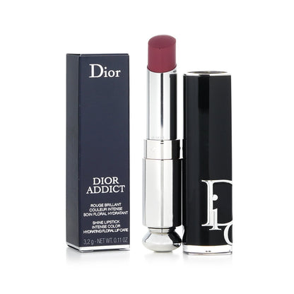 Christian Dior Dior Addict Shine Lipstick - # 100 Nude Look  3.2g/0.11oz